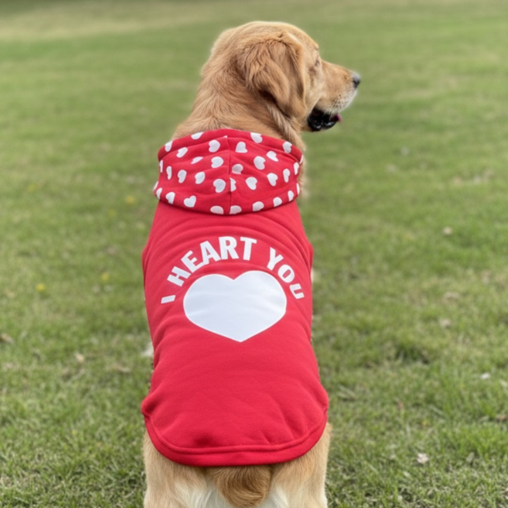 🆕BUTTONS & BONES: Red “I Heart You” ♥️ Dog Hoodie- Size L